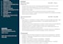 provide professional resume writing service